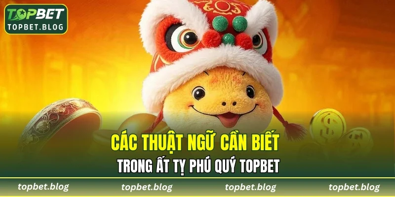 Các thuật ngữ cần biết trong Ất Tỵ Phú Quý TOPBET