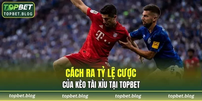 Cách ra tỷ lệ cược của Kèo Tài Xỉu tại TOPBET