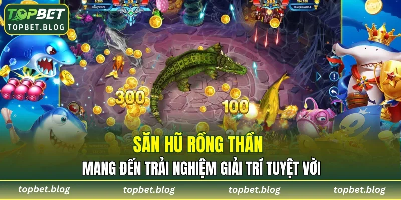 Săn Hũ Rồng Thần mang đến trải nghiệm giải trí tuyệt vời