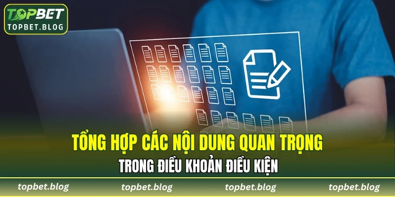 Tổng hợp các nội dung quan trọng trong điều khoản điều kiện